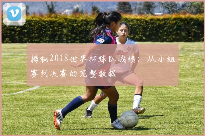 揭秘2018世界杯球队战绩：从小组赛到决赛的完整数据